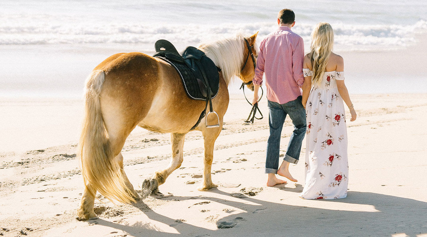 Couple walking down beach with horse